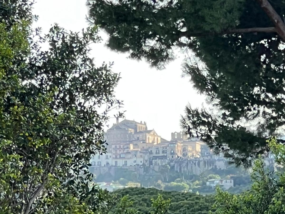 Vila House Corso Calatafimi Palermo Exteriér fotografie